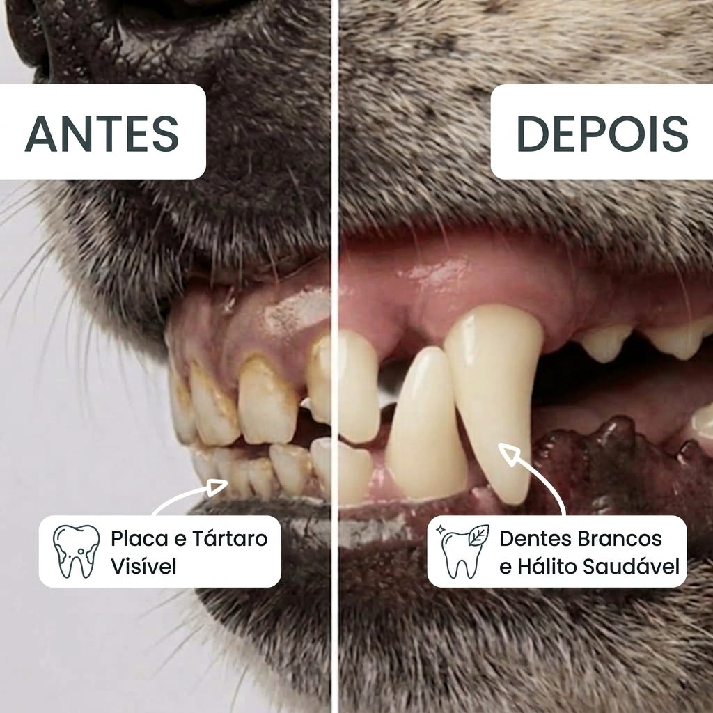 Bafuxo: Toalhitas Dentárias
