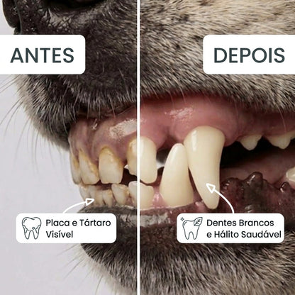 Bafuxo: Toalhitas Dentárias