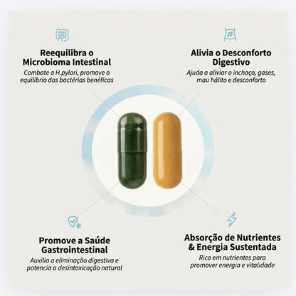 CORE: Regulação Biológica